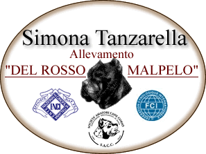 Wloska hodowla cane corso italiano"Del Rosso Malpelo"- SIMONA TANZARELLA