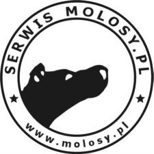 Strona powiecona wszystkim molosom, oraz forum!!!POLECAM!!!